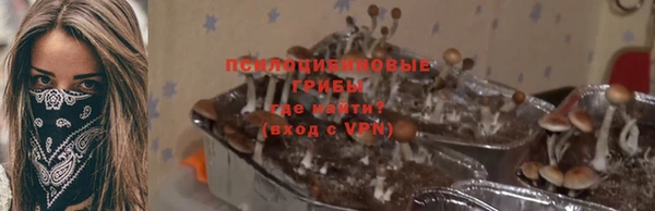 твердый Арсеньев
