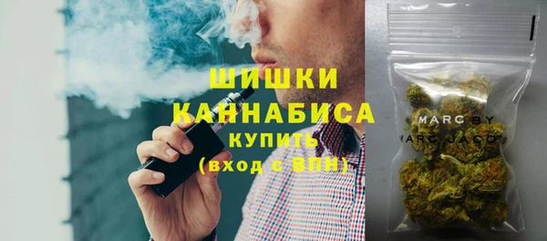 твердый Арсеньев